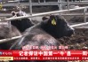2021牛年剖腹产吉时来了，准必看！