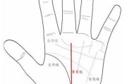 手相算命，看手相能看出什么