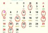 2023年2月25日吉时查询，如何快速获取准确的八字排盘