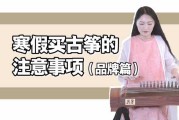 家中有古筝，妙招，带来与和谐