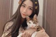 梦到很多蟑螂，周公解梦会给出什么启示？