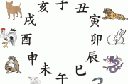 生肖蛇未来运势揭秘，运势起伏，财富机遇并存