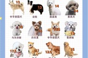 十二星座长大能养什么狗？这些狗狗太可爱了！