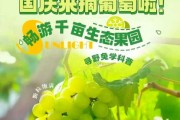 解梦摘葡萄，打什么码？