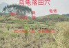 甘肃布局，自然与人文的融合