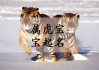 属虎名字部首吉凶，如何选择一个属虎宝宝的好名字
