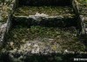 十二星座吃鸡配什么枪？