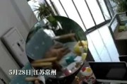 路上碰到猛狗，预兆与解梦的深层解析