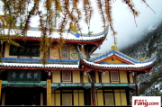 黄龙寺求签灵验，历史与现代的对话