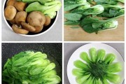 门前栽种这些菜，不仅美味还旺！