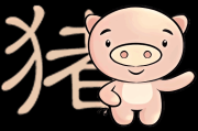 属猪人今日生肖运势查询，事业与健康 focus on today’s zodiac sign for pigs