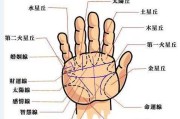手纹三条线吉凶图，解析与应用