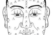 面相算命学，预兆最准的面相特征解析