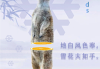 梦见，象征着什么？与发财的神秘联