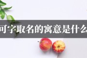 鼠宝宝取名嘉可配什么字？寓意美好，独具匠心！