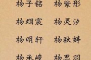 李杨宝宝名字怎么取名，宝宝名字李杨的含义与搭配建议