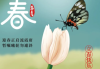 2022年立春吉时，春意盎然，万物复苏