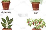 解梦，梦到洗草药盆子预示着什么？