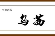 茜字取名，温柔优雅，为女宝宝起 name with style