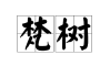 梵树，自然与人文的融合