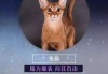 十二星座，配什么猫？