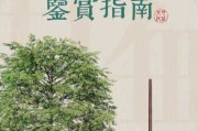 新居入伙拜神吉时，传统文化的现代诠释