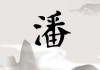 姓潘国的女宝宝取名灵感与技巧