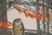 中的鸱鸟，化解之道与