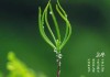 立春宝宝小名取名指南
