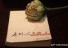 算命的都是看什么书的人？真相 revealed！