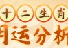 星座运势，生肖兔运势解析