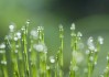 雨声预兆，自然界的奥秘与启示