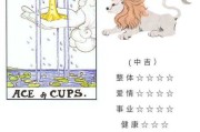 2023年星座生肖血型运势排名，揭秘你的运势密码！
