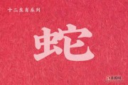 属相蛇2022运势生肖，智慧与机遇并存的一年