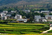 农村大楼，隐藏的密码与未解之谜