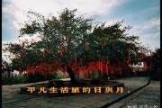 岁月轮回，农历生日的与算命的奥秘