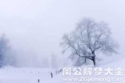 梦见佛前下雪的寓意解析，周公解的神秘启示