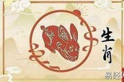 属兔的生肖运势详解