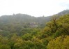 丑山的宝地