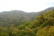 丑山的宝地
