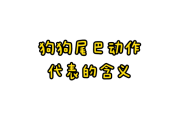 咬狗狗尾巴吉凶，民间传统还是迷信把戏？