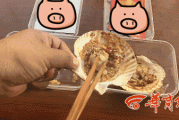 梦见吃扇贝，解读奢华与生活的平衡