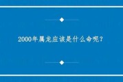 2000年属龙人最佳出生吉时解析