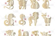 猴子的算命术，为什么它们能预知未来？