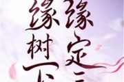 缘定三生，求签，一场心灵的占卜之旅