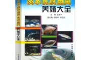 新手养鱼讲究全解析