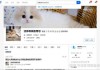 新家养什么猫好吉利