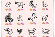 生肖属羊的人一生运势，从出生到退休的完整解读