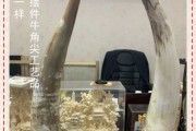 牛角辟邪，招财还是凶兆？吉凶全解析