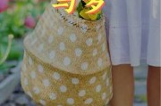 今日求签，运势揭秘，短句感悟人生